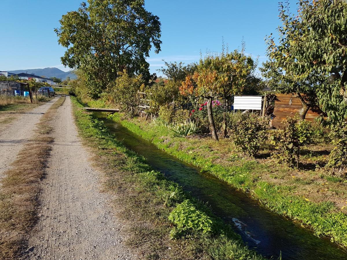 L'Etoile Lägenhet Ingersheim Exteriör bild